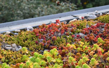 the cost of Tobha Beag green roof installation